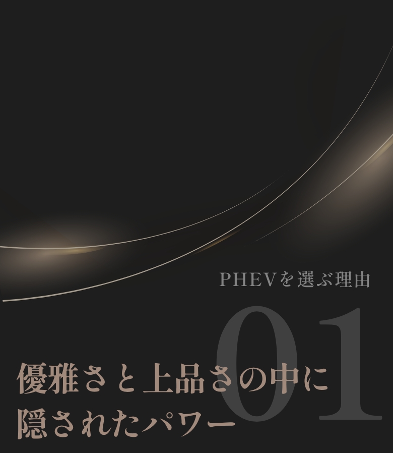 優雅さと上品さの中に隠れたパワー
