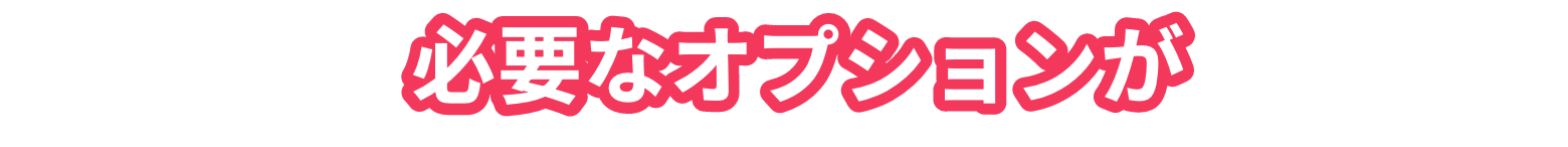 必要なオプションが