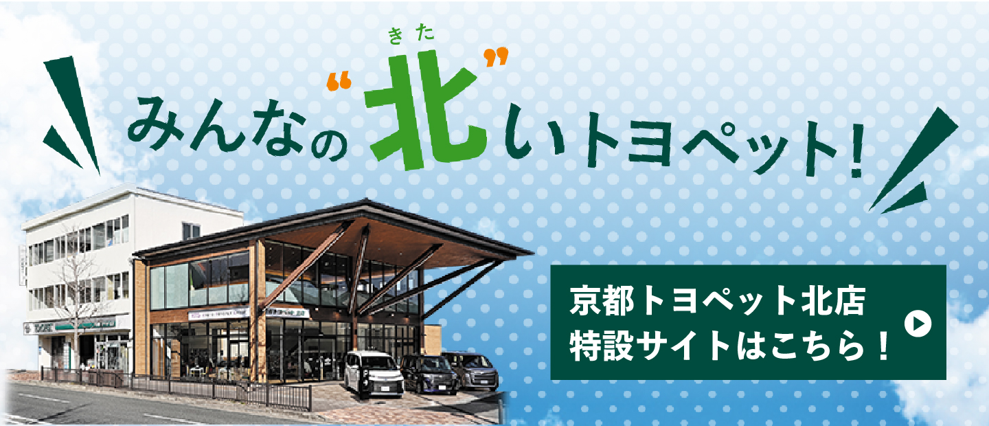 ”北店特設サイト”
