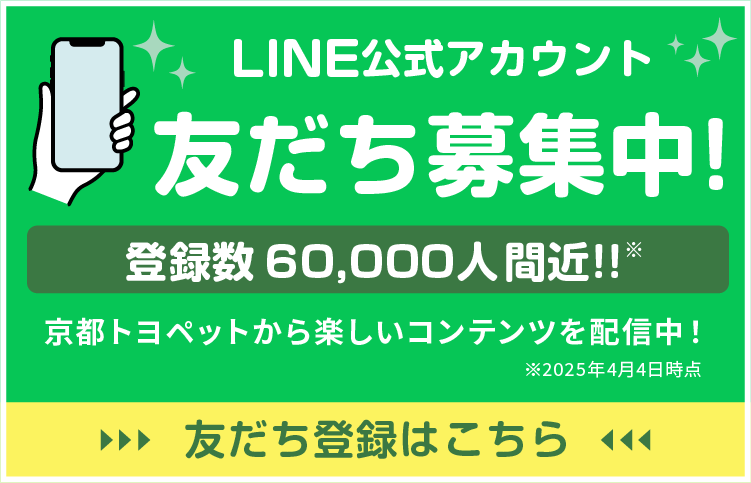 LINE公式アカウント友だち募集中！京都トヨペットから楽しいコンテンツを配信中！