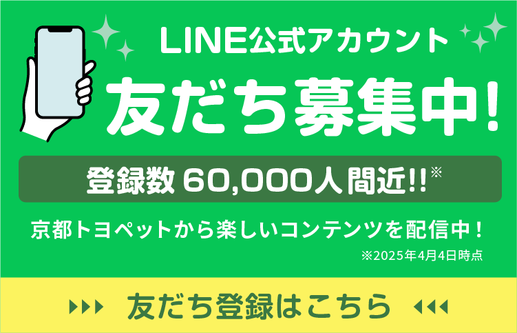 LINE公式アカウント友だち募集中！京都トヨペットから楽しいコンテンツを配信中！